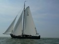 Visserman zeeschouw le97 • Workum • IJsselmeer, Friese Meren