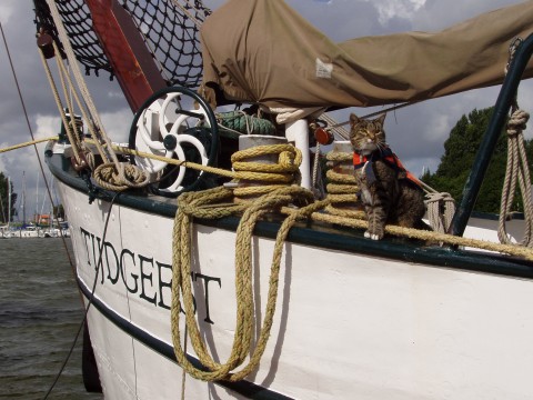 Schiff 990003 � Tweemastklipper Harlingen � Tijdgeest