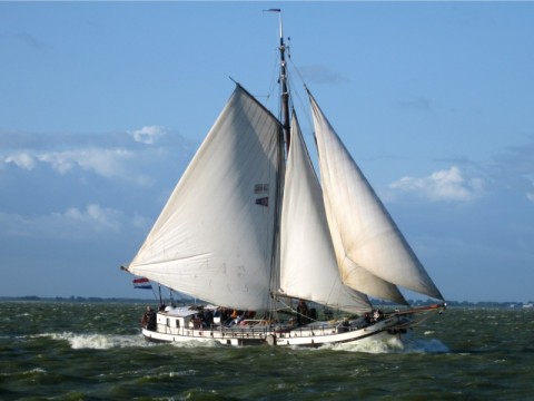 Steilsteven Rival • Hoorn • Waddenzee, IJsselmeer, Friese Meren, Markermeer