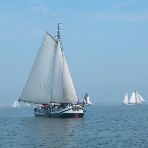 Schiff 990023  Steilsteven Hoorn  Rival