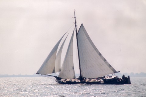 Schiff 990029 � stevenaak Hoorn � Egberdina