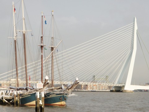 Schiff 990036 � Schoener Rotterdam � Luciana