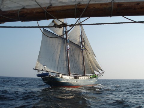 Schiff 990036 � Schoener Rotterdam � Luciana