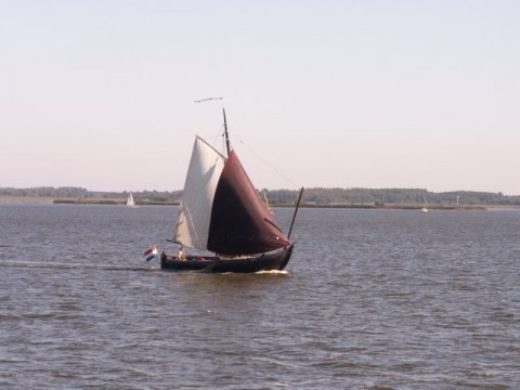 Volendammer kwak VD-99 • Burdaard • Waddenzee, Friese Meren