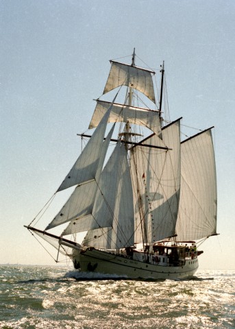 Schiff 990045 � Evert Harlingen � Koh-�-Noor