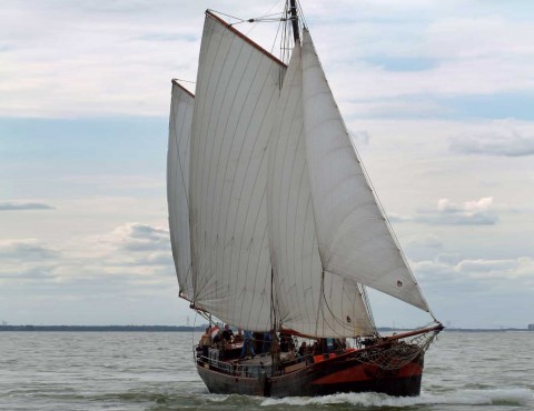 Klipper Twee Gebroeders • Muiden • IJsselmeer, Markermeer