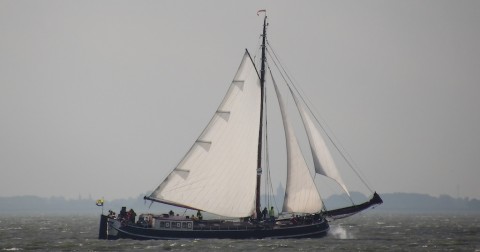 Schiff 990058  Zeetjalk Monnickendam  ORION