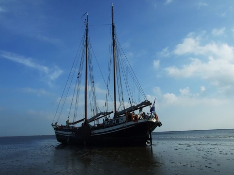Schiff 990062  Zeeuwse klipper Harlingen  Eendracht