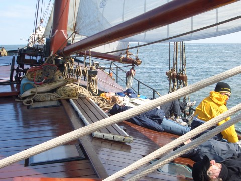 Schiff 990062  Zeeuwse klipper Harlingen  Eendracht