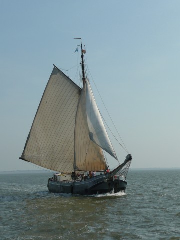 Schiff 990073 � Oostzeetjalk Stavoren � Wending