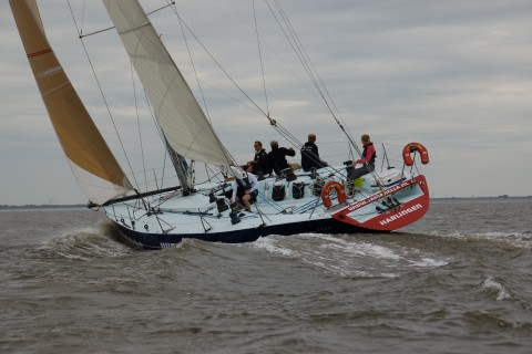 Schiff 990089 � Farr 50 Harlingen � Jamarella
